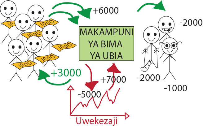 bima 2