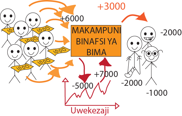 bima 1